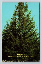 PA-Pennsylvania, Hemlock, State Tree, Vintage Postcard picture