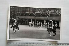 HOUSEHOLD CAVALRY HORSES Original PHOTO picture