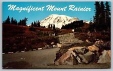 Mount Rainier Washington Wash National Park Paradise Valley Vintage UNP Postcard picture