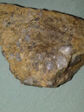 Kimberlite W/ Crystals & Small Diamonds Visible. 2.6 Ozs. picture