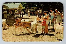 Coloma MI-Michigan, Deer Forest Paw Paw Lake, Feeding Deer Vintage Postcard picture