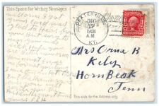 1908 Best Christmas Wishes Berries House Winter Dexterville Kentucky KY Postcard picture