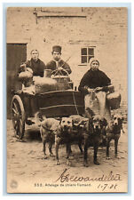 1908 Three Dogs Carrying Belgium Dog Cart Posted Antique Postcard picture