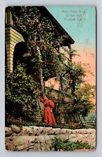 Portland OR-Oregon, Mutti Flora Rose, Antique Vintage Souvenir Postcard picture