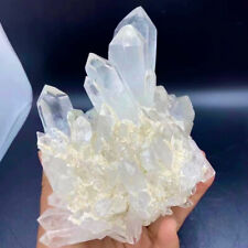 3.19LB Natural White Chrysanthemum Crystal Himalayan Quartz Cluster/Mineral picture
