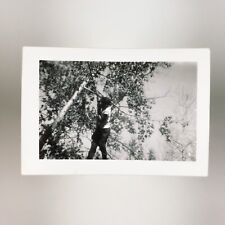 Rope Swing Tree Climber Photo 1950s Candid Outdoor Nature Adventure Retro A3050 picture