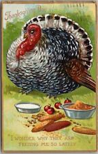 1910s Tuck's THANKSGIVING Postcard Turkey 