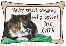 NEVER TRUST ANYONE WHO DOESNT LIKE CATS THROW PILLOW picture