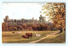 Windsor Castle North Front Cows on Lawn Fall Trees Artist Signed ARQ Postcard E9 picture