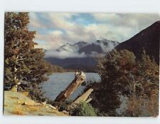 Postcard Lake Gunn, Eglinton Valley, New Zealand picture