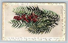 California Pepper, Tree Blossoms And Fruit, c1904 Vintage Souvenir Postcard picture