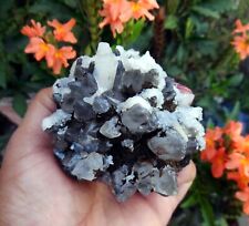 CALCITE Crystals On STILBITE & Black Matrix Minerals N-11.23 picture