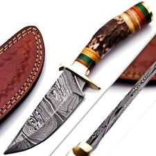CUSTOM HAND FORGED DAMASCUS STEEL HUNTING KNIFE W/ Stag Handle Brass Guard picture