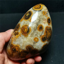 RARE 509G Natural Inner Mongolia Gobi Eye Agate Stone Collection WD1282 picture