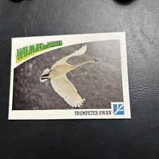 B30s Wildlife In Danger 1992 WWF World Fund #68 Trumpeter Swan Alaska Bird picture