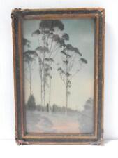ANTIQUE TINTED PHOTOGRAPH ORIG FRAME + GLASS EUCALYPTUS SOUTHERN  CALIFORNIA picture