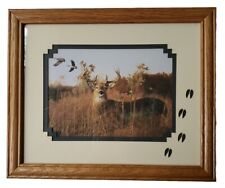 Wood Framed Deer Buck Photo Canadian Geese Background 9.25 x 11.25 inch picture
