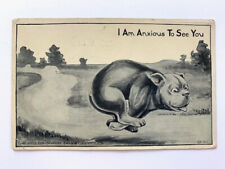  Vintage Postcard, Dog run, I Am Anxious To See You, Schmidt Bros 1911, Divided picture