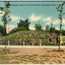 c1940s Davenport IA Monkey Island Fejewary Park Mound Bergstrom Peterson PC A234 picture