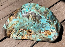 Very Large Rare Natural & Untreated Polished Blue Opal Petrified Wood Indonesia picture