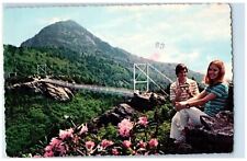 1984 Mile High Swinging Bridge Grandfather Mountain North Carolina Postcard picture