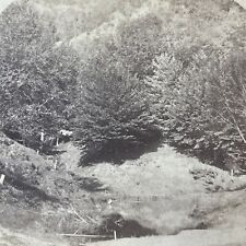 Antique 1870s Humphrey's Ledge North Conway NH Stereoview Photo Card V1777 picture