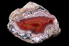 Laguna Agate From Mexico Collectors Grade Tight Banding and High Contrast picture