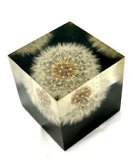 Vintage Lucite Dandelion Flower Seed Puff Cube Paperweight 2 1/4