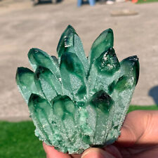 1.32LB New Find green  PhantomQuartz Crystal Cluster MineralSpecimen picture