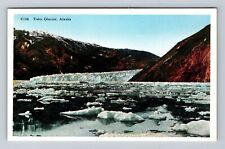 Taku Glacier AK-Alaska, Scenic View Of Glacier & Mountain, Vintage Postcard picture