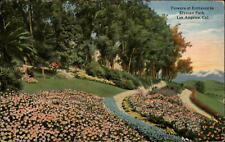 Flowers Elysian Park entrance ~ Los Angeles California ~ c 1910 vintage postcard picture