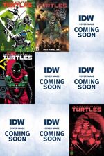 Teenage Mutant Ninja Turtles (2024) #1 IDW Variant pack of 9 A-H Presale 7/25 picture