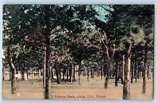 Cedar Vale Kansas Postcard Hewins Park Trees Forest Picnic 1910 Vintage Antique picture