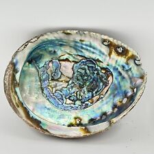 Vintage ABALONE SHELL Very Colorful  And Beautiful picture