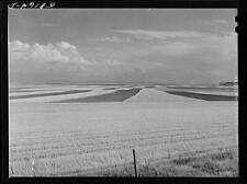 Great Falls,Montana,Cascade County,MT,Farm Security Administration,1941,FSA,1 picture