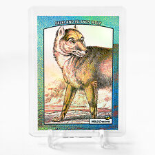 FALKLAND ISLANDS WOLF Art Trading Card 2024 GleeBeeCo Holo Creatures #FLTC picture