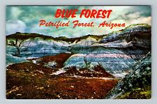 AZ-Arizona, Colorful Blue Forest In The Scenic Petrified Forest Vintage Postcard picture