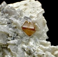 Rare Orange Microlite Crystals Specimen @ Mineral Specimens 46 Grams picture
