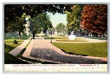 View Cooper Park, Cooperstown NY c1908 Vintage Postcard picture