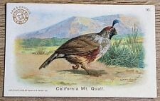 1908 J4 Church & Co Arm & Hammer New Series Of Birds California Quail Card #16 picture