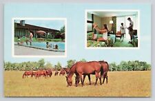 Postcard Sheraton Country Inn Ocala Florida picture