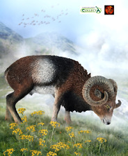 European Mouflon Mountain Sheep with horns Toy Model Figure CollectA 88682 New picture