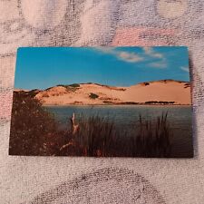 Postcard Cape Cod Sand Dunes P31338 Vintage Plastichrome  picture