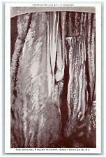 c1960's The Original Frozen Niagara Great Onyx Mammoth Cave Kentucky KY Postcard picture