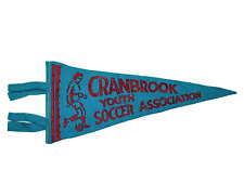Vintage CRANBROOK Youth Soccer Association Banner Pennant - Blue & Red 11