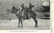 Child Labor Coal Miners Driver Boys Mule Panther Creek Valley PA c1905 picture