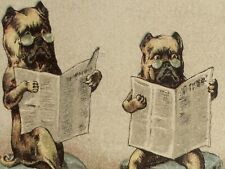 Anthropomorphic Dogs Victorian Trade Card Read Newspapers Harrison Wagons picture