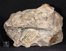 Sepiolite from Grant Co., New Mexico old rare A.E. Foote Label (circa 1880's) picture