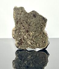 AMGALA 001 (4.564g) Martian Shergottite Meteorite End Cut IMCA #s 6236 & 7294 picture