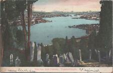 Postcard View from Eyub Cemetery Constantinople Turkey 1907 picture